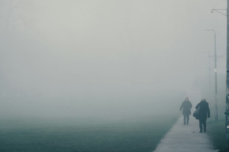 ludzie we mgle