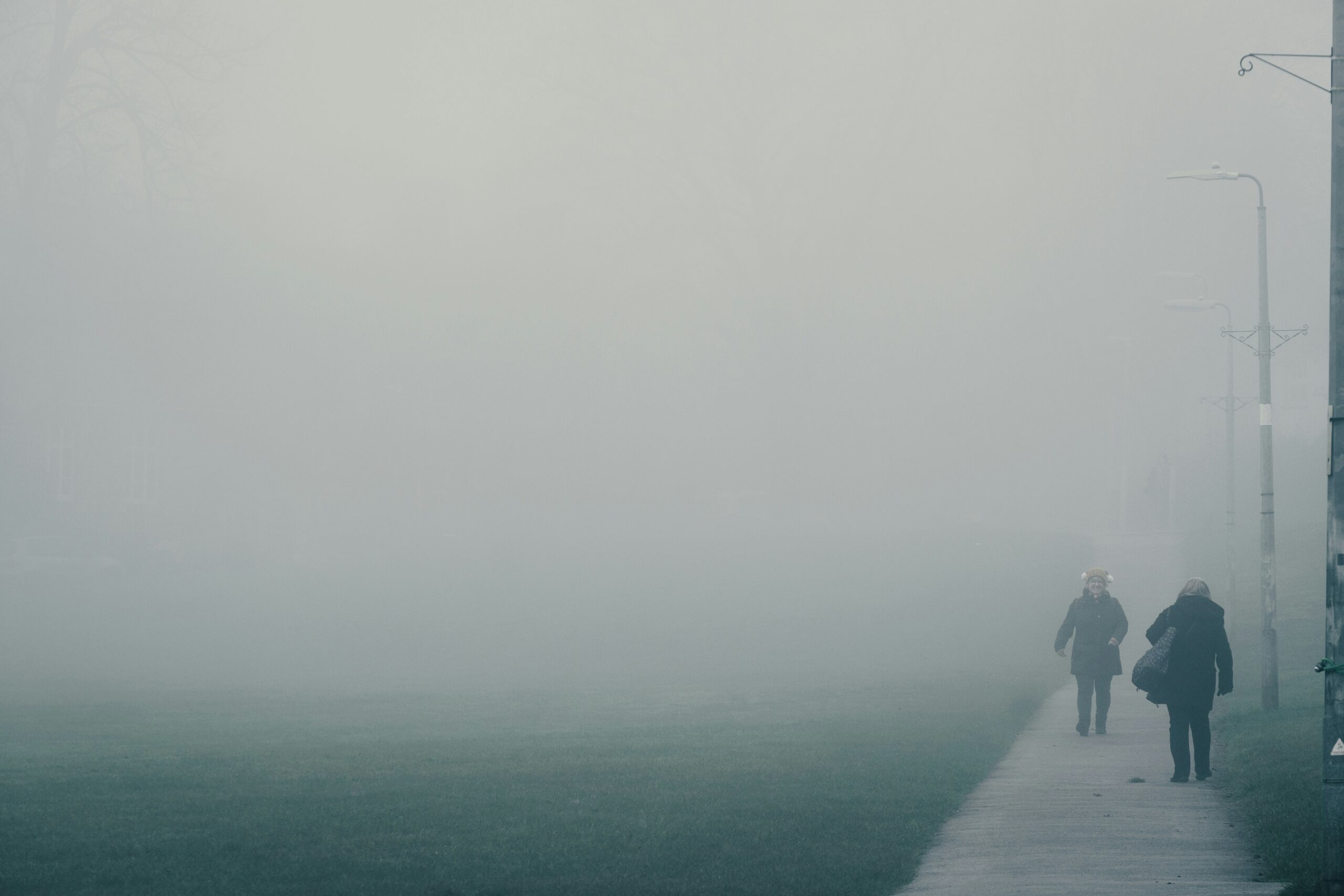 ludzie we mgle